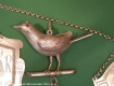 1854-02-Koenigsvogel.jpg